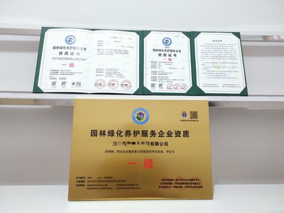 上海市企業一站式代辦服務 營業執照、務代碼證、財務咨詢與代理記賬全解析